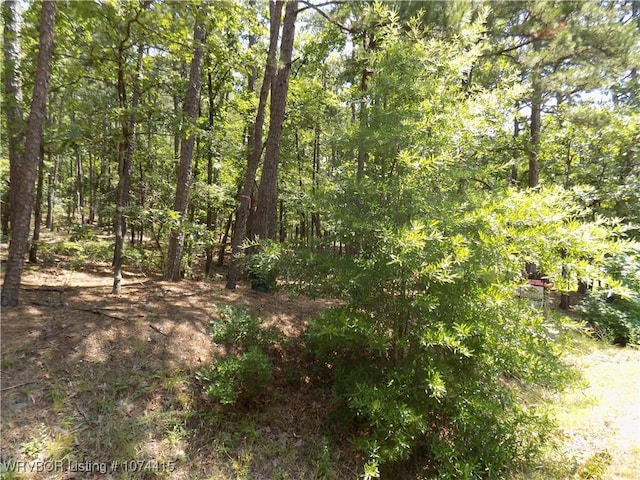 2 Zaragoza Way, Hot Springs Village AR, 71909 land for sale