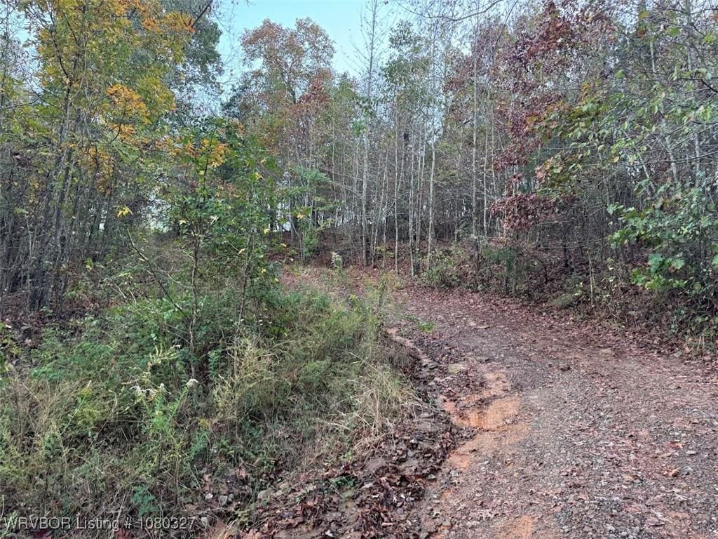 8241 Lazy Brook Rd, Rudy, AR 72952