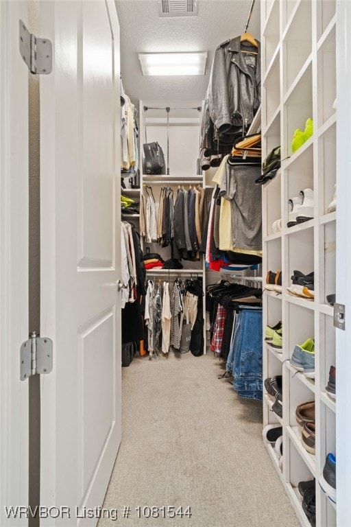 38 Jeffrey Way, Fort Smith, AR 72903 - spacious closet with carpet floors