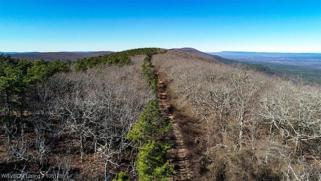 TBD K Trail, Whitesboro, OK 74577