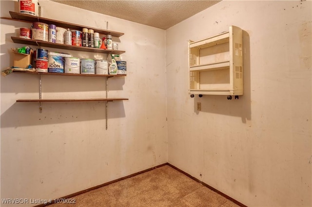 unfurnished room featuring light carpet and a textured ceiling