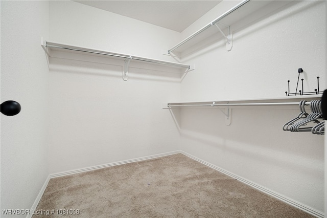 106 Stone Dr, Roland, OK 74954 - walk in closet featuring carpet flooring