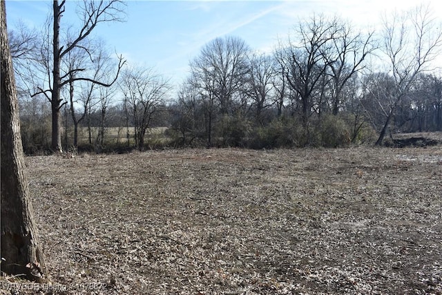 Listing photo 3 for TBD S 217th Hwy, Booneville AR 72927