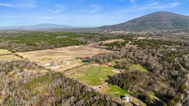 TBDTRACT2 Poteau Mountain Rd, Poteau, OK 74953 - photo 22