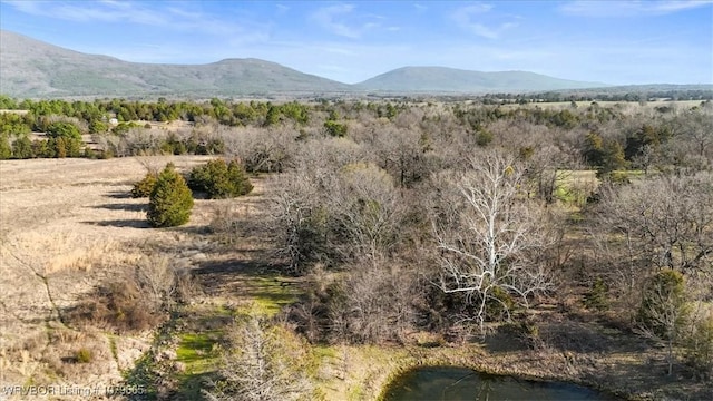 TBDTRACT2 Poteau Mountain Rd, Poteau, OK 74953 - photo 21