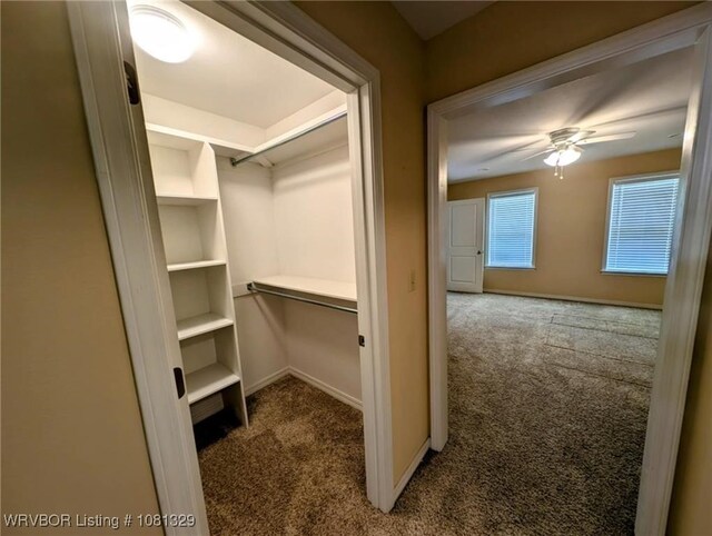 1385 Old Airport Rd, Paris, AR 72855 - spacious closet with carpet floors and a ceiling fan