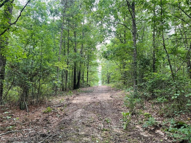 TRACT5A Ridge Rd, Watson, OK 74957 - photo 43