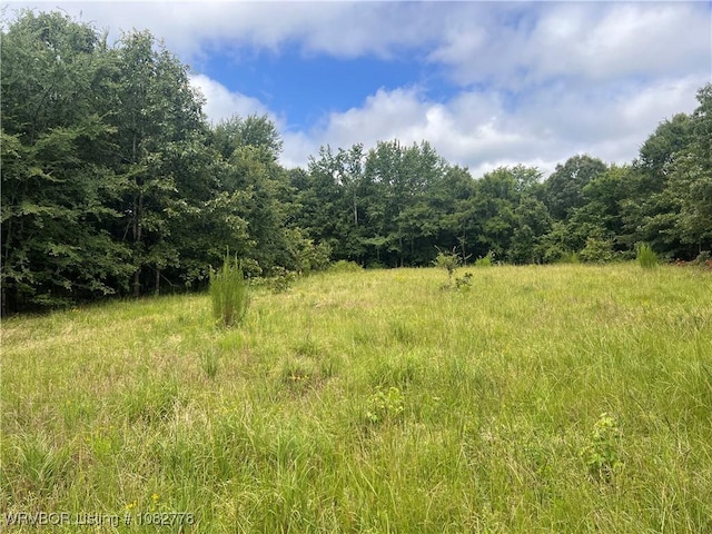 TRACT5A Ridge Rd, Watson, OK 74957 - photo 19
