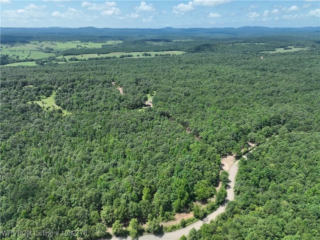 TRACT5A Ridge Rd, Watson, OK 74957 - photo 4