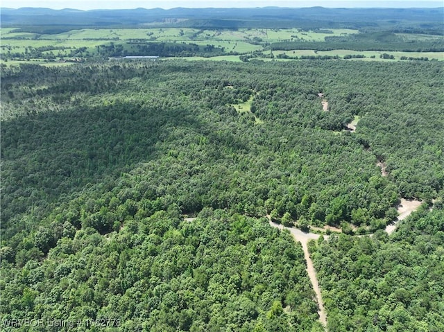 TRACT5A Ridge Rd, Watson, OK 74957 - photo 2