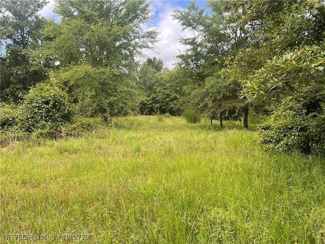 TRACT5A Ridge Rd, Watson, OK 74957 - photo 25