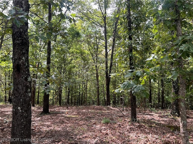 TRACT5A Ridge Rd, Watson, OK 74957 - photo 30