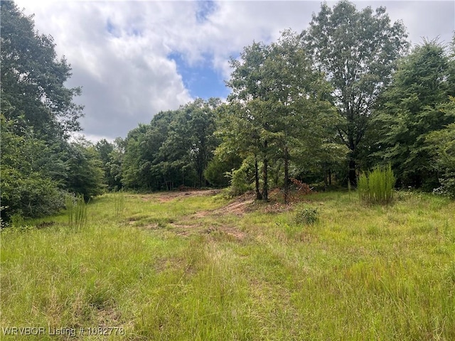TRACT5A Ridge Rd, Watson, OK 74957 - photo 27