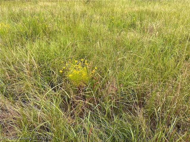 TRACT5A Ridge Rd, Watson, OK 74957 - photo 22