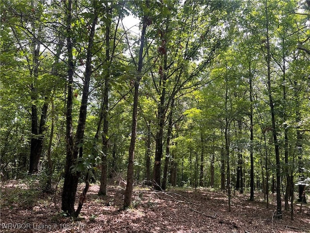 TRACT5A Ridge Rd, Watson, OK 74957 - photo 32