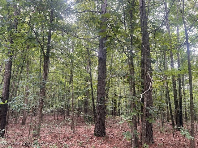 TRACT5A Ridge Rd, Watson, OK 74957 - photo 42