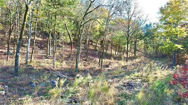 TBD Wildwood Lane, Poteau, OK 74953 - photo 15