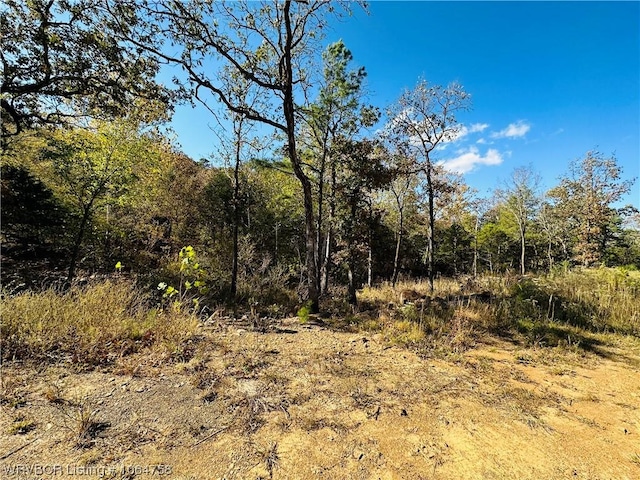 TBD Wildwood Lane, Poteau, OK 74953 - photo 26