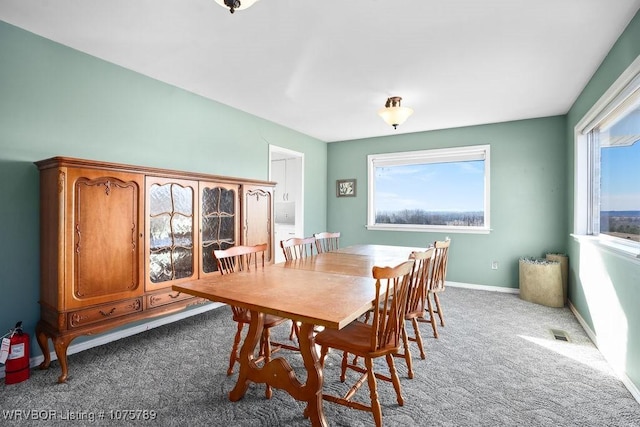 dining room featuring carpet