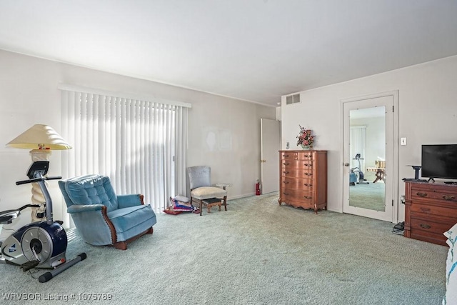 sitting room with carpet floors