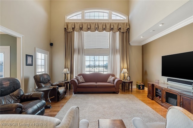 living room featuring a wealth of natural light, a high ceiling, and light wood-type flooring