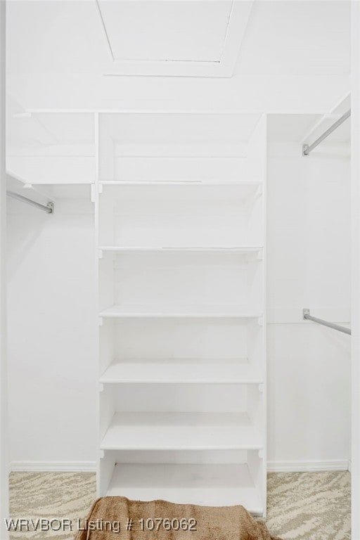 spacious closet featuring light colored carpet