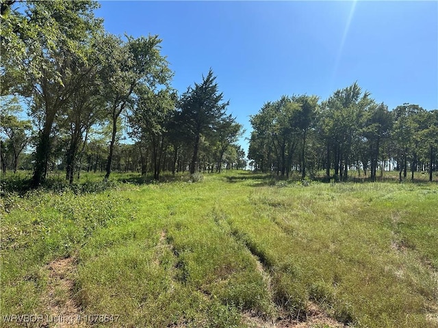 808 Morris Creek Rd, Heavener, OK 74937 - photo 27