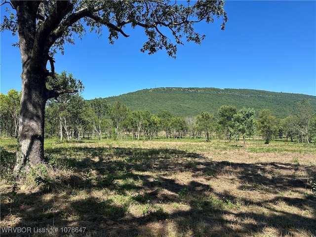 808 Morris Creek Rd, Heavener, OK 74937 - photo 2