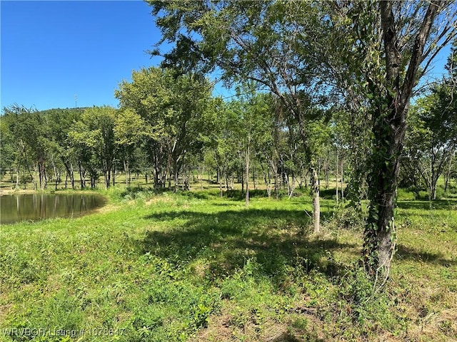 808 Morris Creek Rd, Heavener, OK 74937 - photo 14