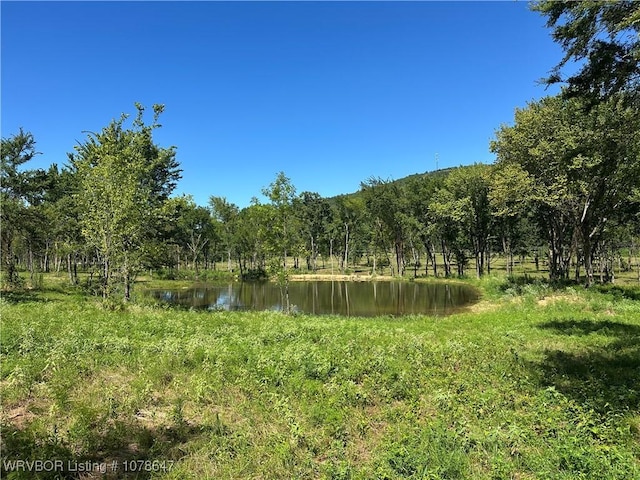 808 Morris Creek Rd, Heavener, OK 74937 - photo 13