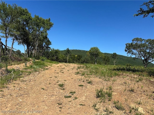 808 Morris Creek Rd, Heavener, OK 74937 - photo 8