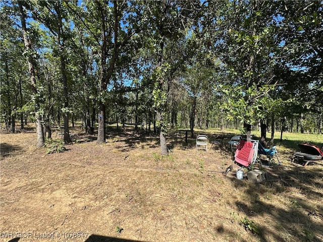808 Morris Creek Rd, Heavener, OK 74937 - photo 31