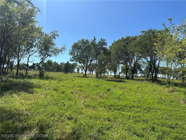 808 Morris Creek Rd, Heavener, OK 74937 - photo 17