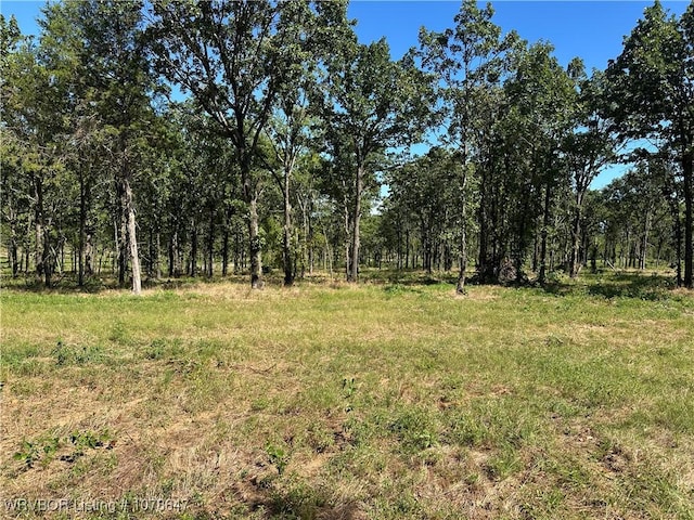 808 Morris Creek Rd, Heavener, OK 74937 - photo 29