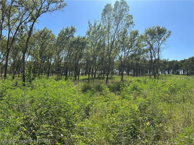 808 Morris Creek Rd, Heavener, OK 74937 - photo 25