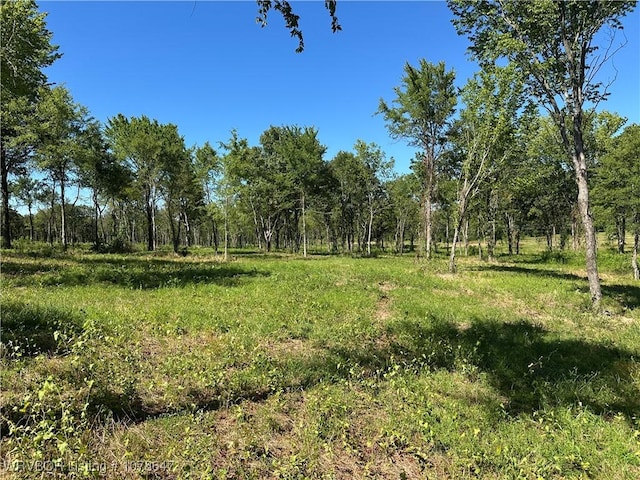 808 Morris Creek Rd, Heavener, OK 74937 - photo 18