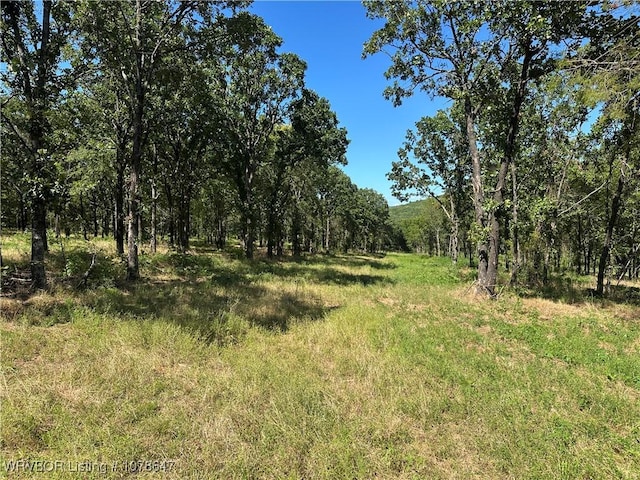 808 Morris Creek Rd, Heavener, OK 74937 - photo 30