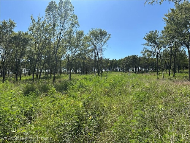 808 Morris Creek Rd, Heavener, OK 74937 - photo 24