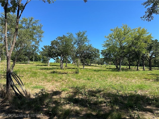 808 Morris Creek Rd, Heavener, OK 74937 - photo 4