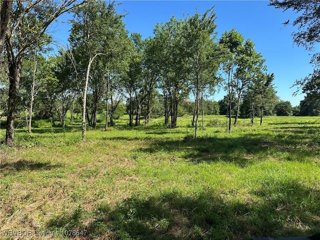 808 Morris Creek Rd, Heavener, OK 74937 - photo 15