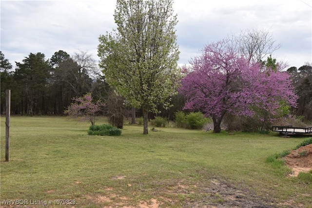 154 Leftwich Ln, Booneville, AR 72927 - photo 10