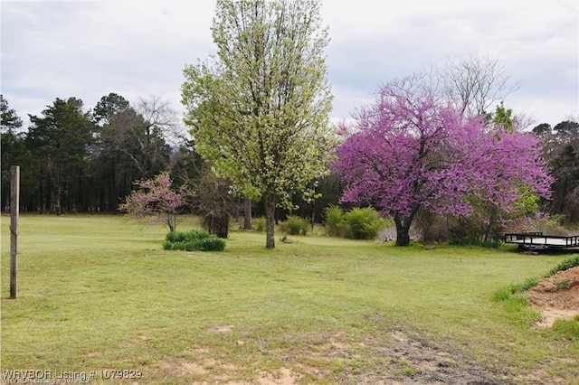 154 Leftwich Ln, Booneville, AR 72927 - photo 12
