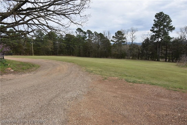 154 Leftwich Ln, Booneville, AR 72927 - photo 6