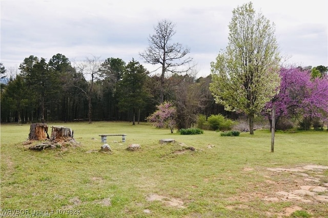154 Leftwich Ln, Booneville, AR 72927 - photo 14