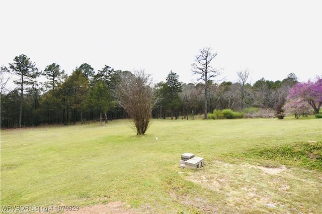 154 Leftwich Ln, Booneville, AR 72927 - photo 17