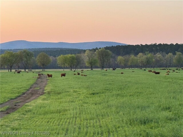 13883 Ritz Rd, Mena, AR 71953 - photo 43