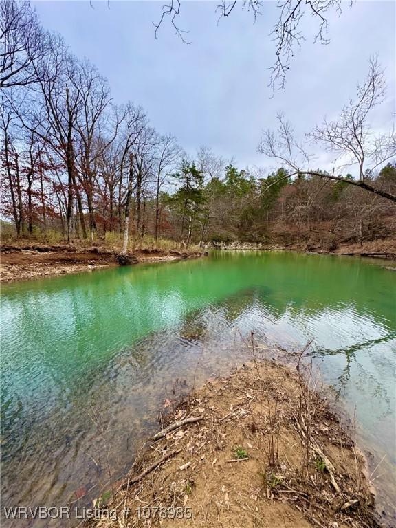 13883 Ritz Rd, Mena, AR 71953 - photo 34