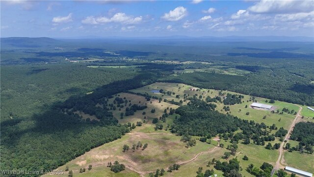 13883 Ritz Rd, Mena, AR 71953 - photo 28