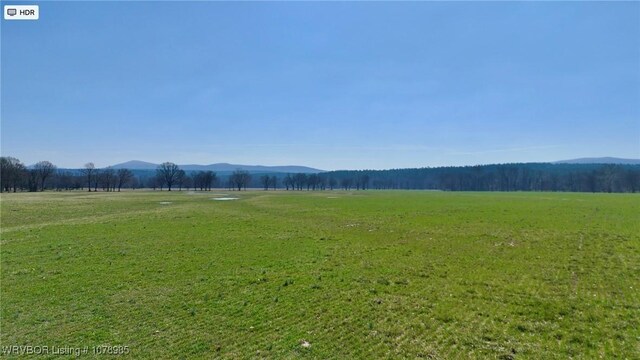 13883 Ritz Rd, Mena, AR 71953 - photo 37