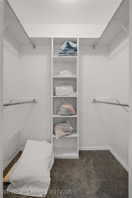 spacious closet with dark colored carpet